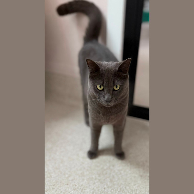 Photo of Luen (9019)