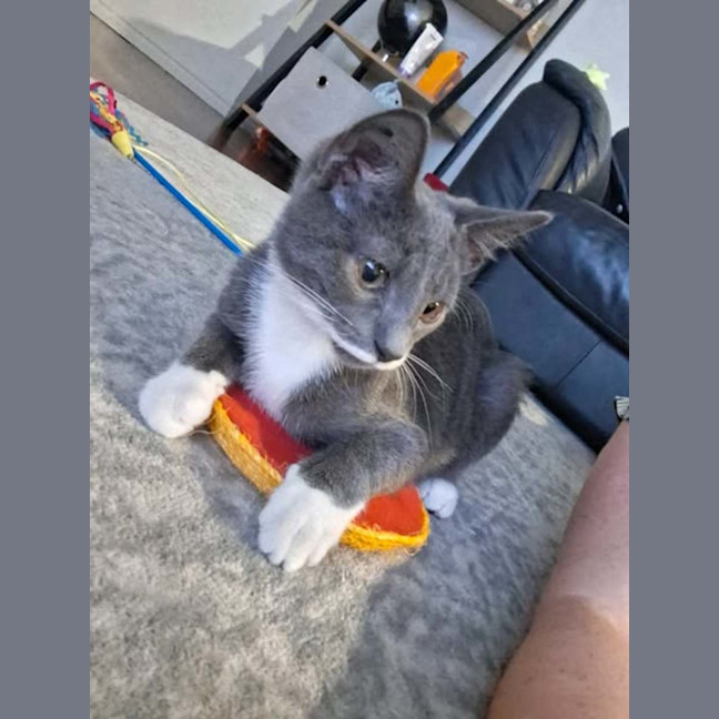 Photo of Grumpy