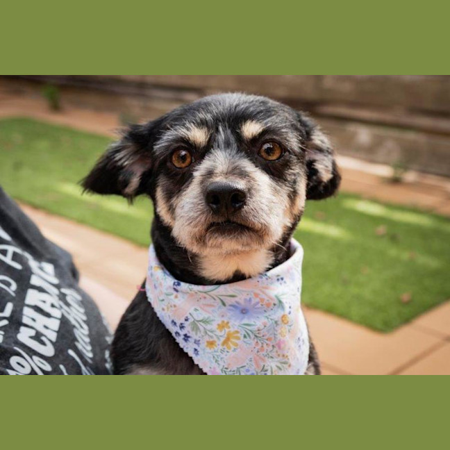 Photo of Jedda O'cleary