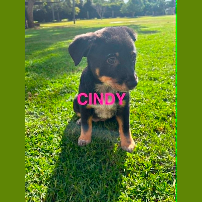 Photo of Cindy