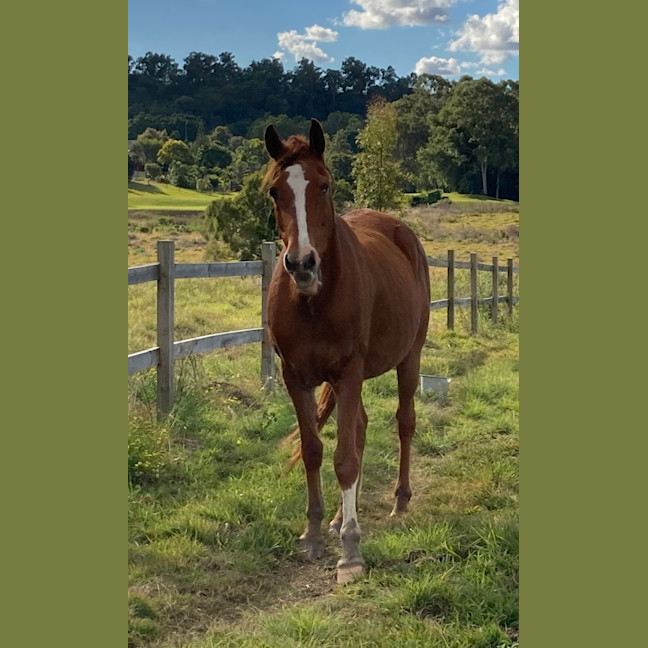 Photo of Sydie