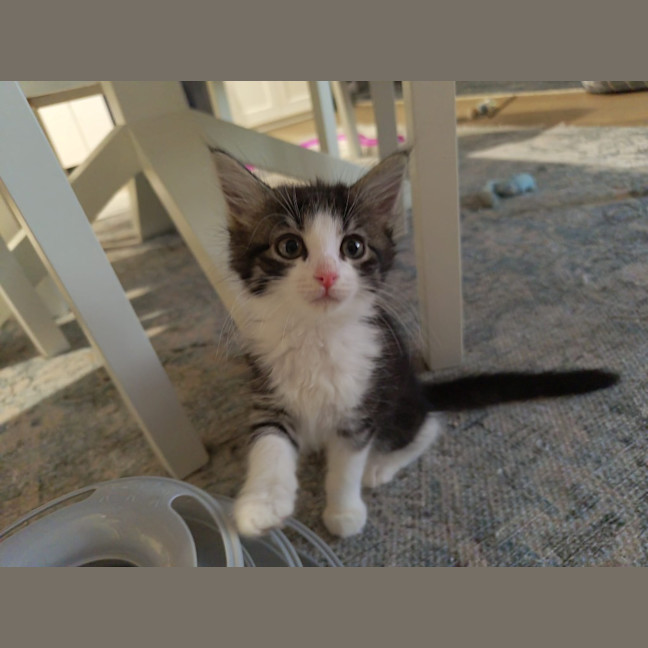 Photo of Milka