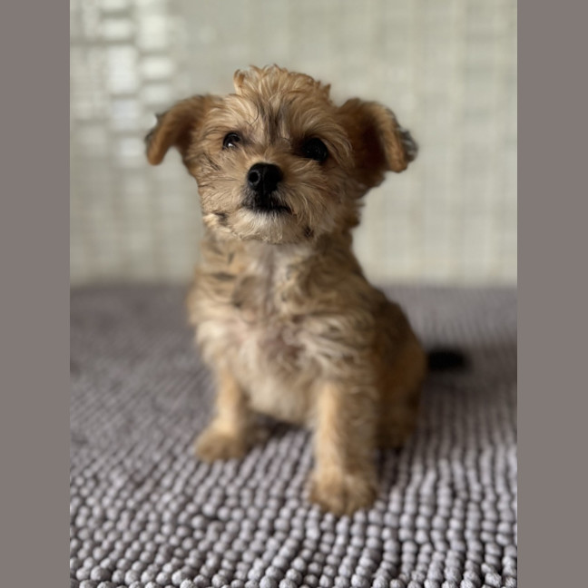 Photo of Bonny