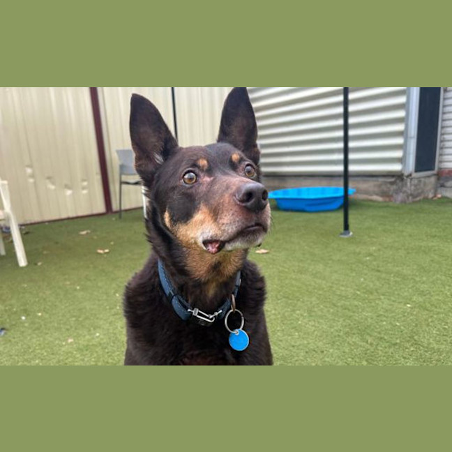 Photo of Mr Smiggles