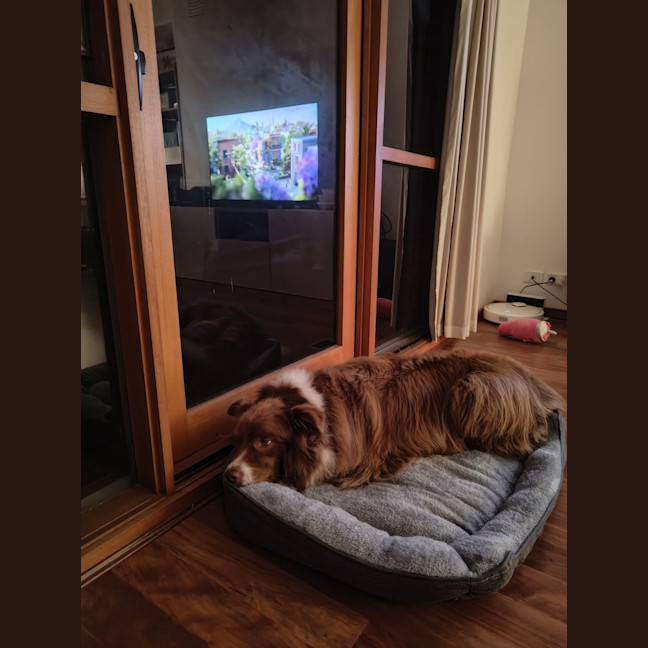 Photo of Mars Bar Slice