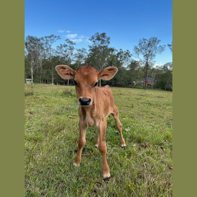 Photo of Austin And Elvis