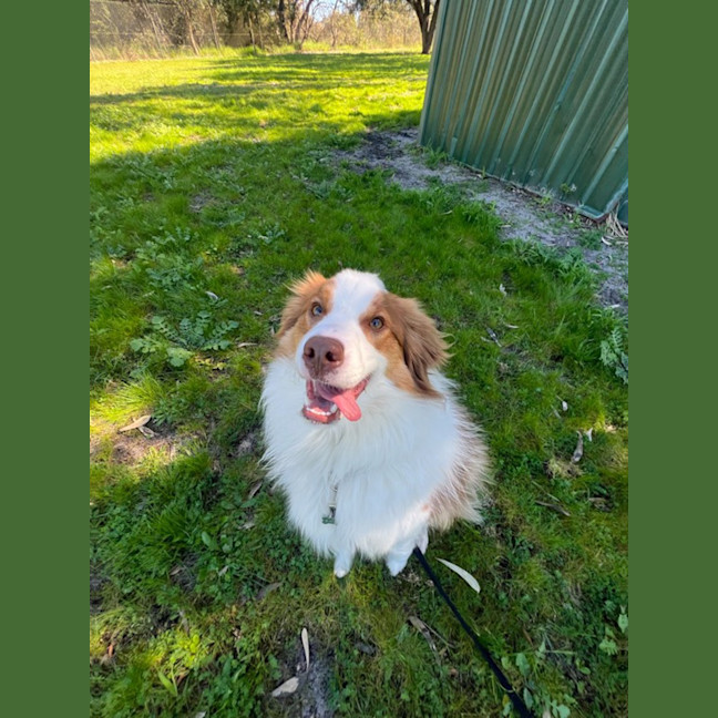 Photo of Momo