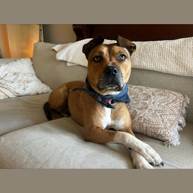 Photo of Chloe Haliwell