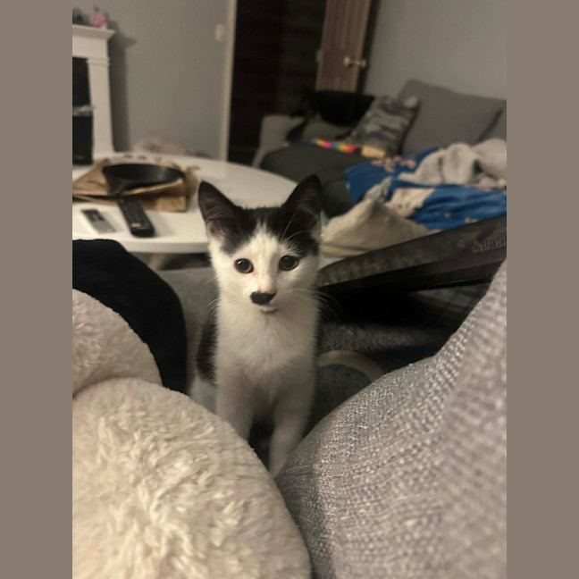 Photo of Tuna