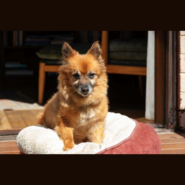 Photo of Maxy O’cleary