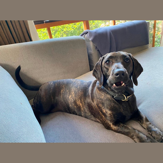 Photo of Elsa