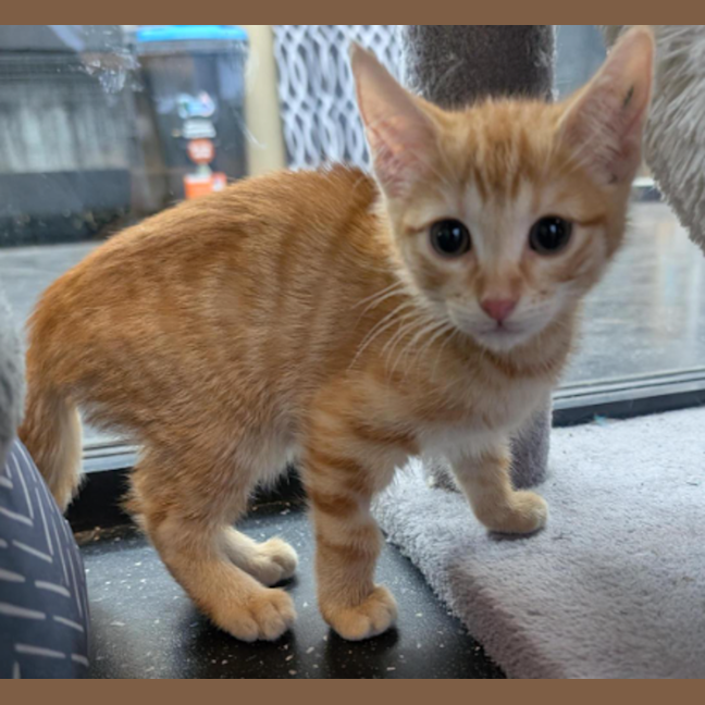 Photo of Traveller Steve