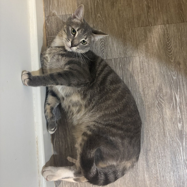 Photo of Leif