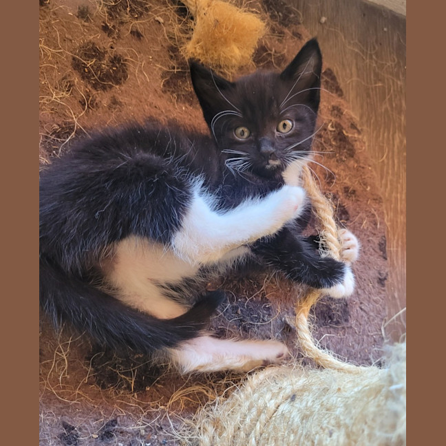 Photo of 💕 Rachel Green 💕