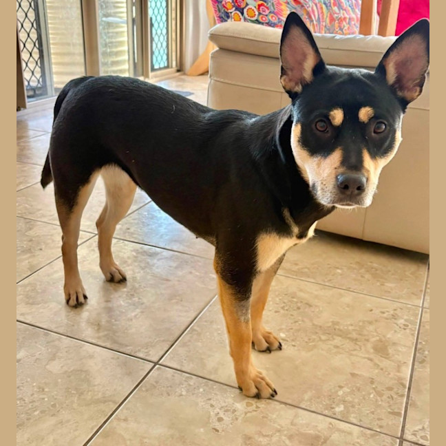 Photo of Tilly