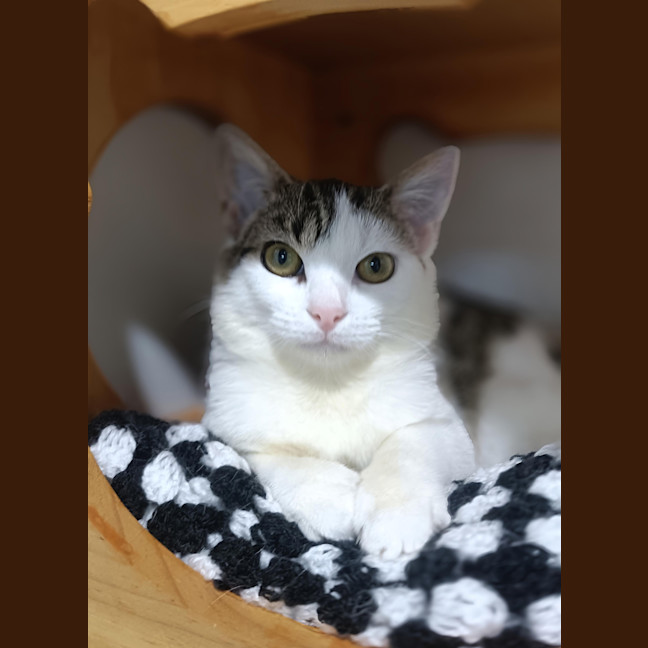 Photo of Gina