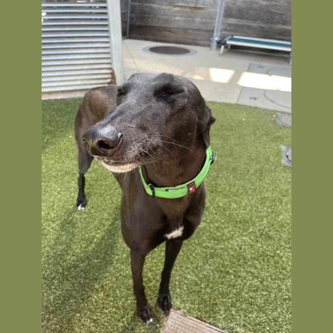 Photo of Halsey Hall