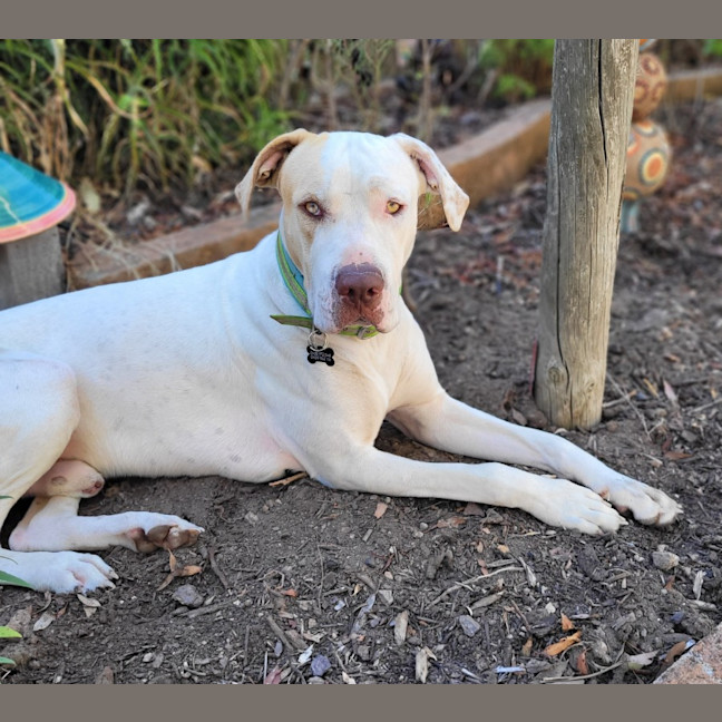 Photo of Mackalicious