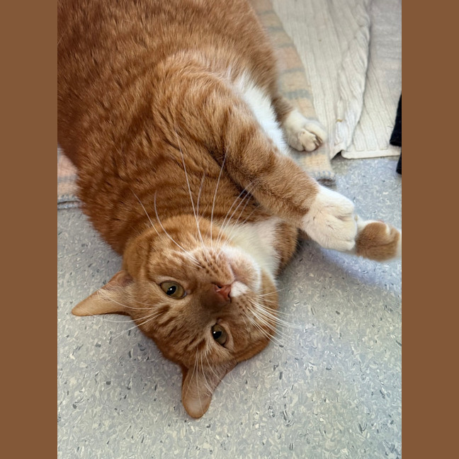 Photo of Charlie