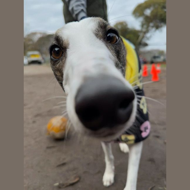 Photo of Betty