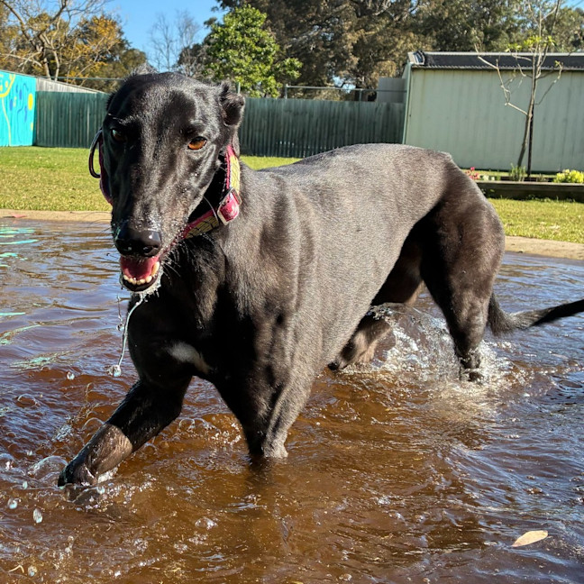Photo of Silver