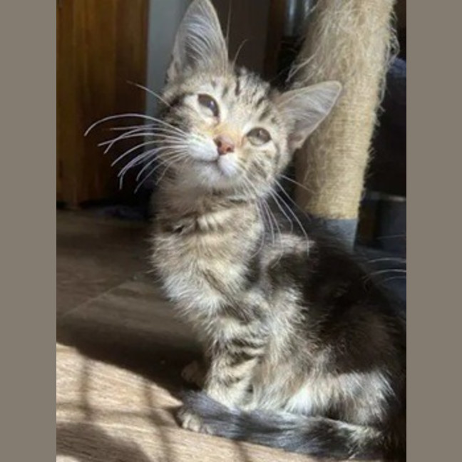 Photo of Winslow