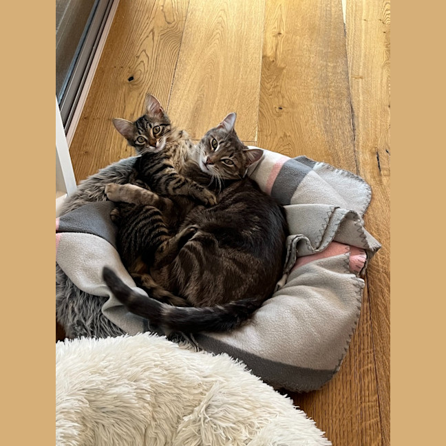 Photo of Lexi & Cara