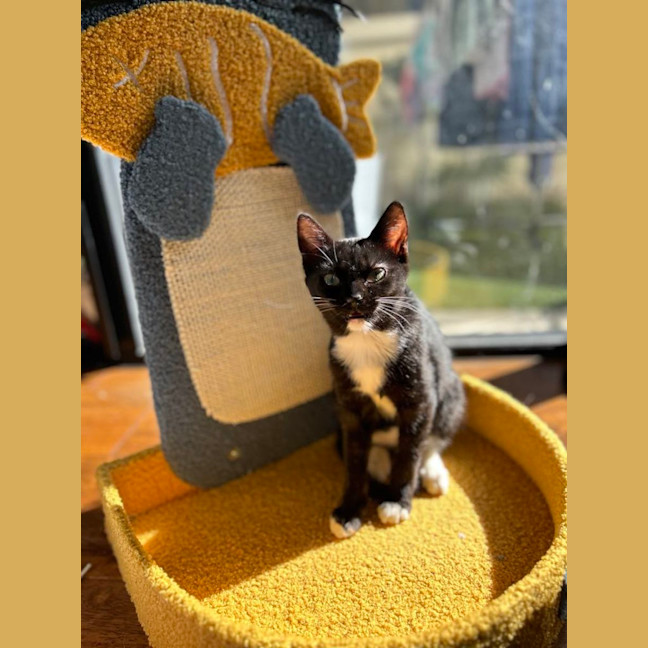 Photo of Miss Frankie