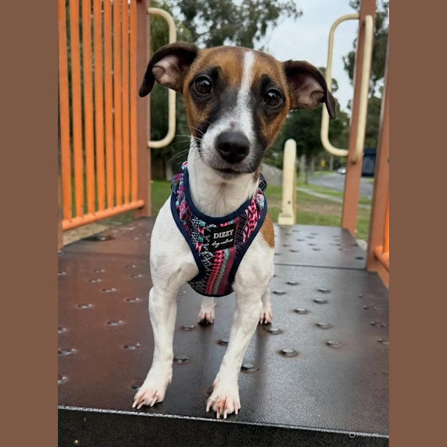 Photo of Marlie