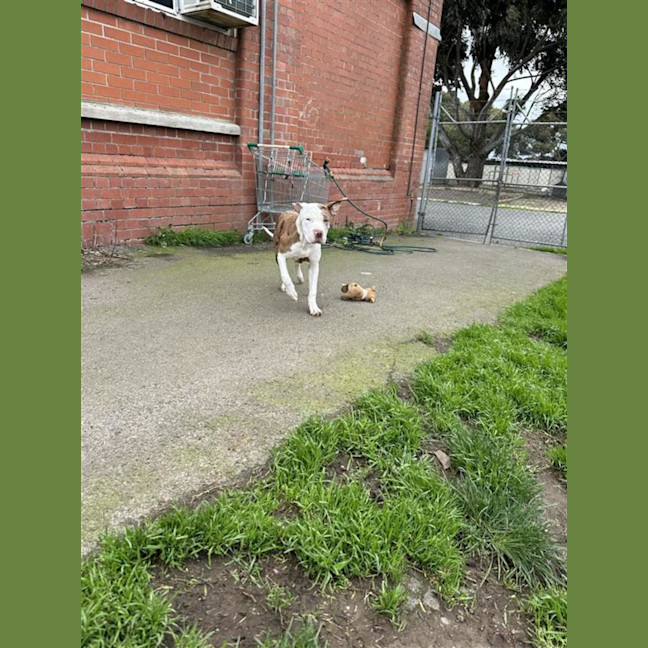 Photo of Chloe