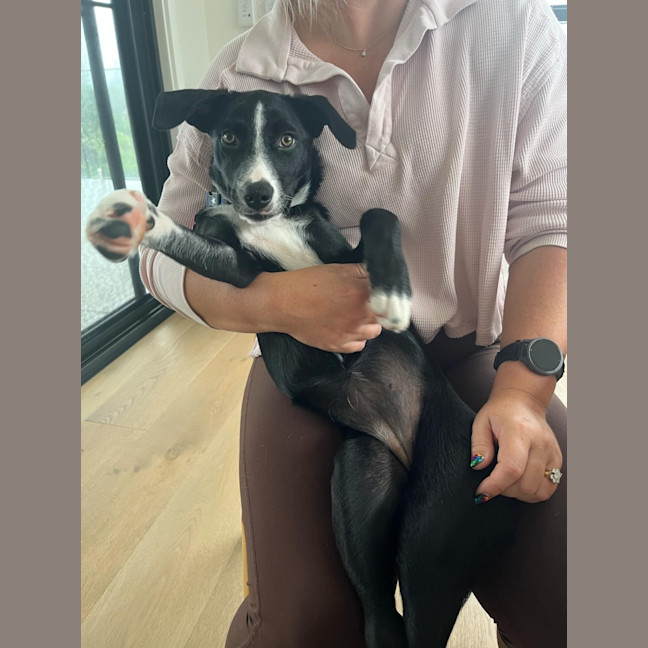 Photo of Freya