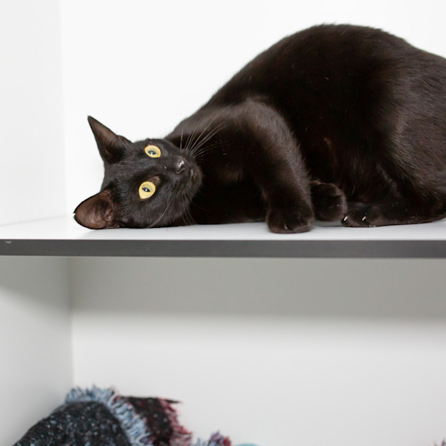 Photo of Lucy (Mamma)