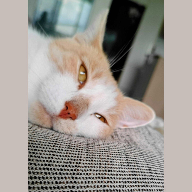 Photo of Ginny