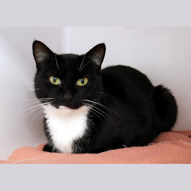 Photo of Cleo Sta012855