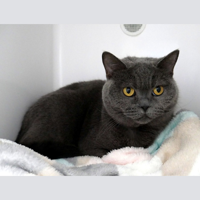 Photo of Lizzy Sua014303