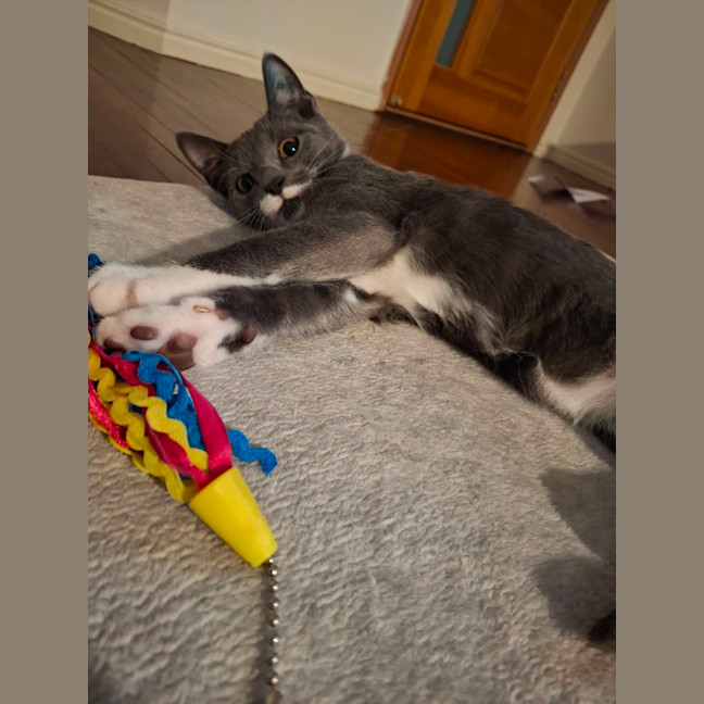 Photo of Grumpy