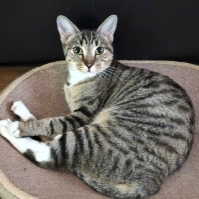Photo of Sally