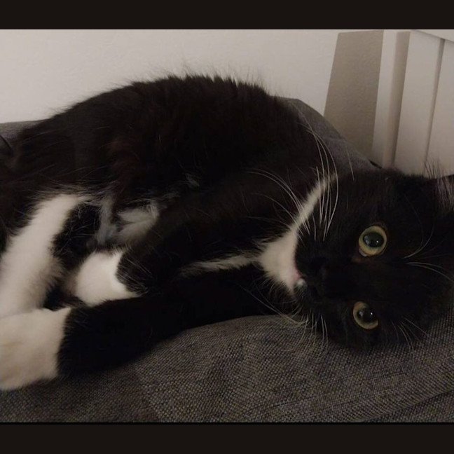 Photo of Donna Summer