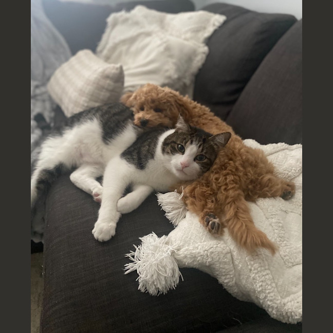 Photo of Monty