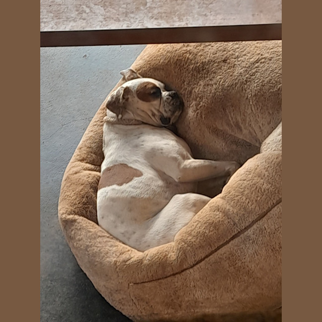 Photo of Waffles And Maple