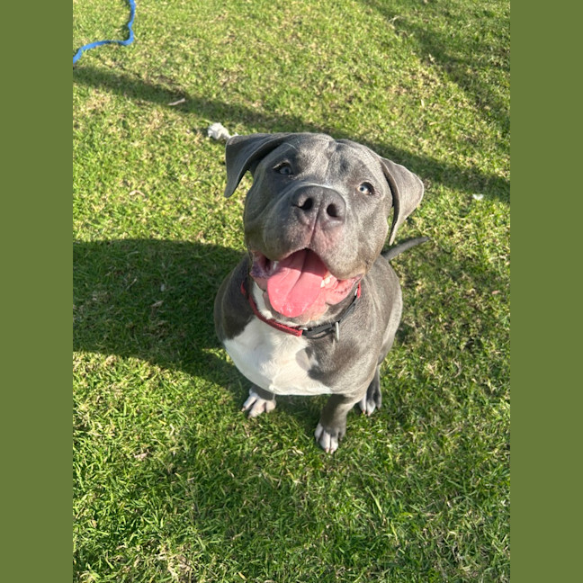 Photo of Phantom
