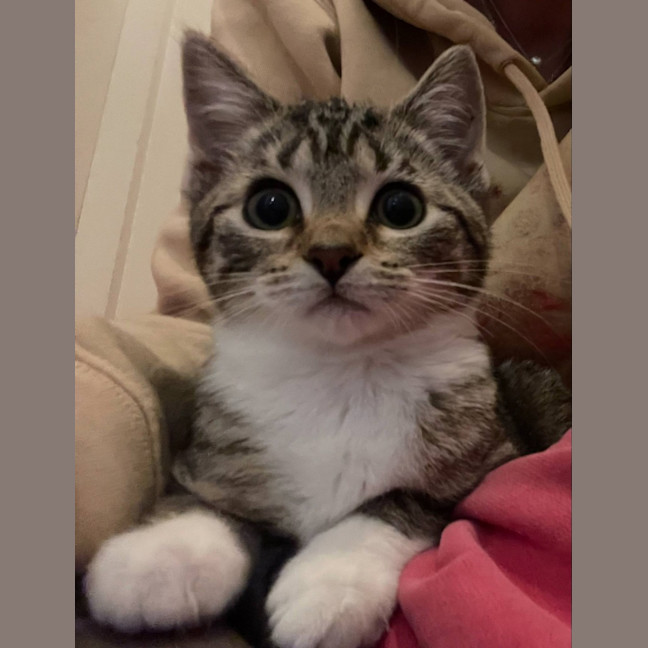 Photo of Amylou