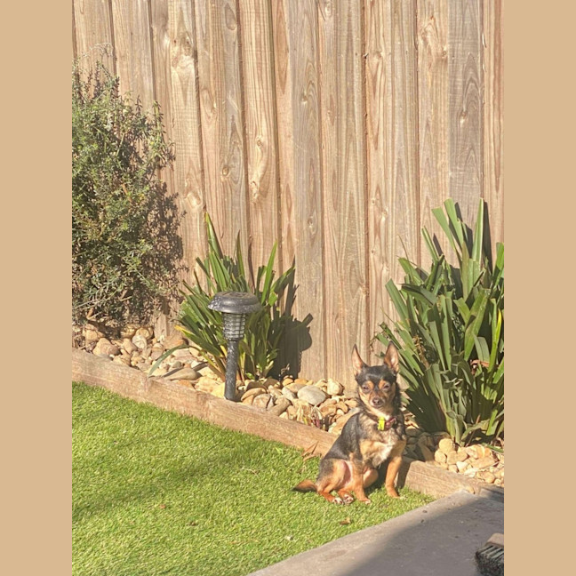 Photo of Beanie Baby