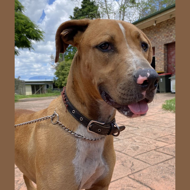 Photo of Princess Jay