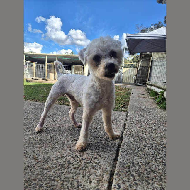 Photo of Paddy