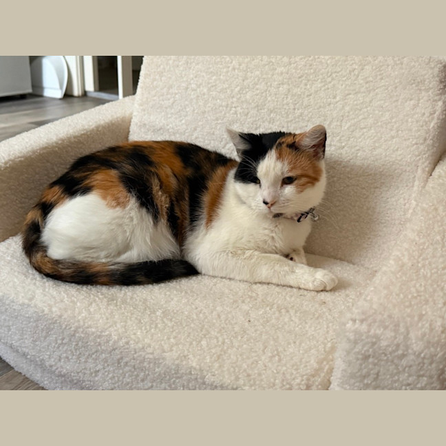 Photo of Margo (With Josie)