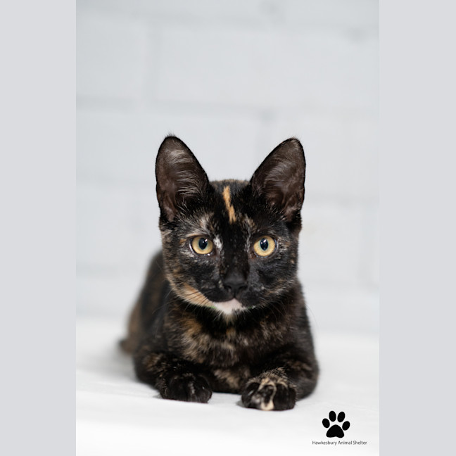 Photo of Hazel