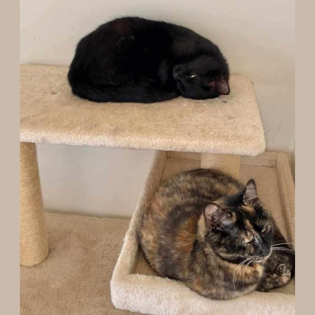 Photo of Ashlie & Lisa