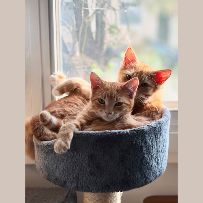 Photo of Flora And Sunny