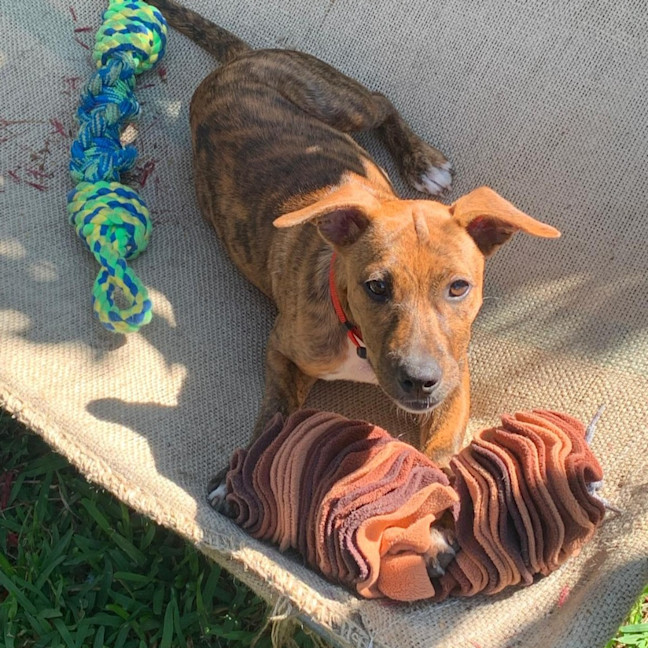 Photo of Candy